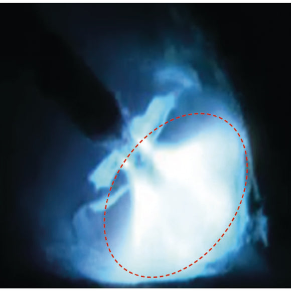 MIG/MAG impulse welder PRO-PULS 400 WS (Profi trolley, control panel on top) Promotional set