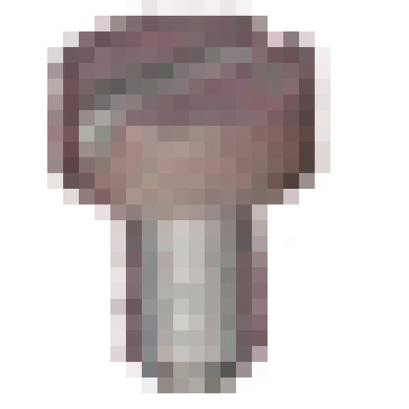 Screw connection nut Connecting nut