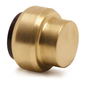 Dummy cap 15 mm