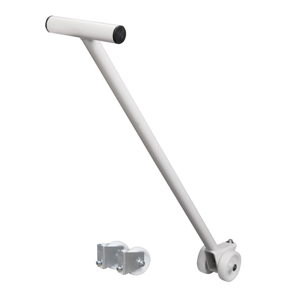 Lifting and moving device