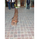 Double rolling machine DWM-H 420-10